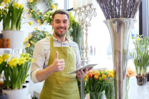 Agrandir l'image (fenêtre modale)