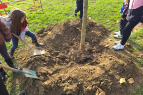 Agrandir l'image (fenêtre modale)