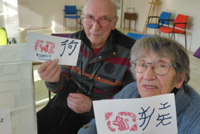 Agrandir l'image (fenêtre modale)